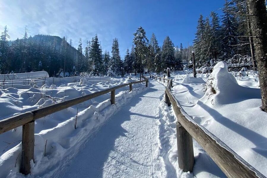 From Krakow: Tour to Zakopane with Tasting & Hotel Pickup - Price and value: why $86 can make sense here