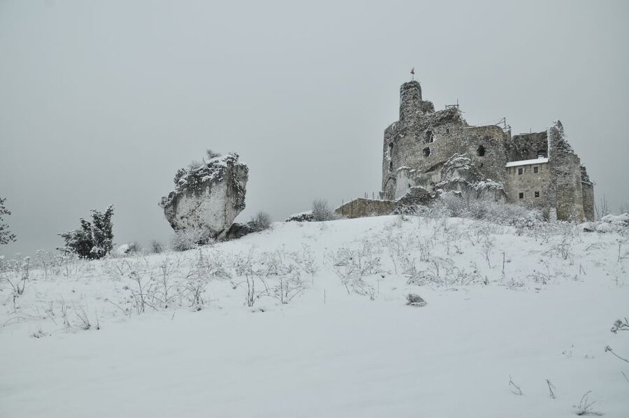 From Krakow: Trail of the Eagles’ Nests Day Tour - Błędowska Desert viewpoint: Europe’s surprise pause