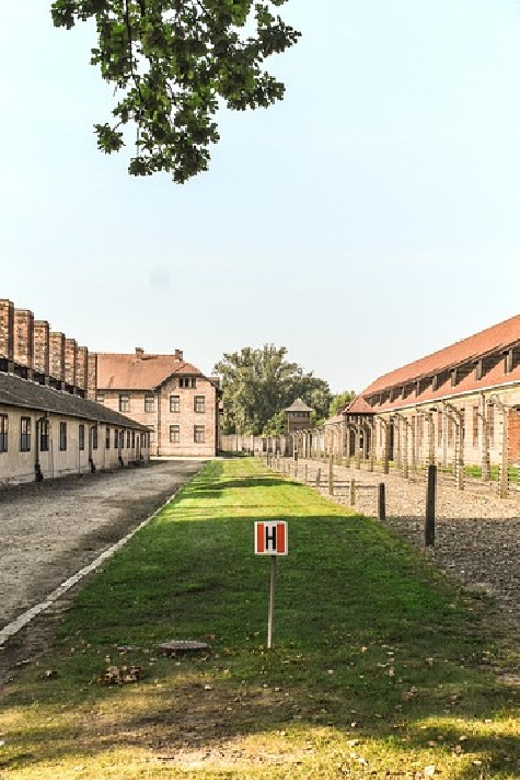 From Krakow: Wieliczka Salt Mine & Auschwitz Guided Trip - Auschwitz II-Birkenau: Railway Logistics, Barracks Views, and Gas Chamber Ruins