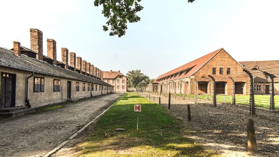 From Krakow: Wieliczka Salt Mine & Auschwitz Guided Trip - Getting Picked Up, Choosing a Group Size, and Understanding Timing
