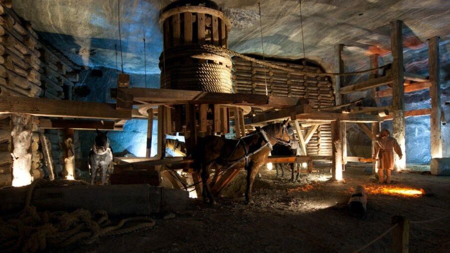 From Krakow: Wieliczka Salt Mine Guided Tour & Transfer - Who this tour fits best