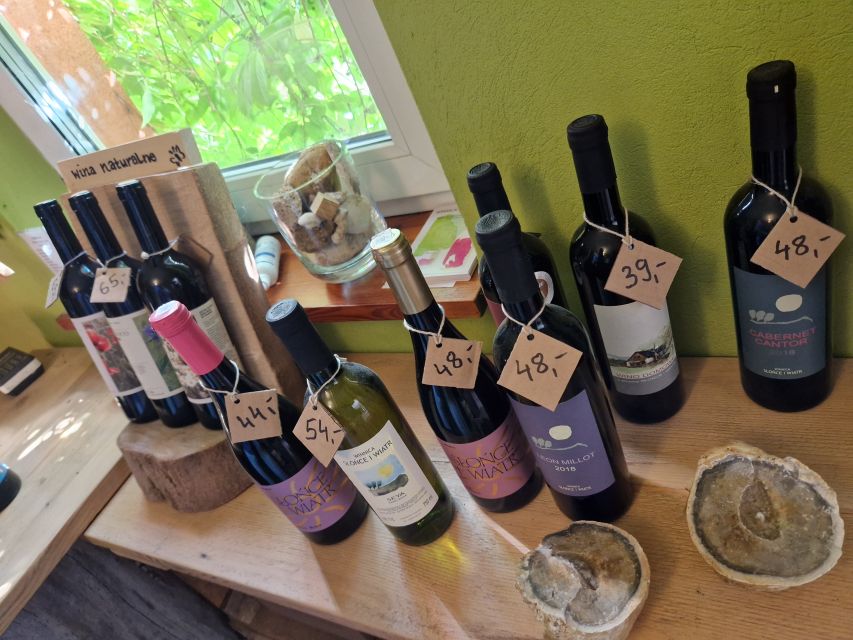 From Krakow: Wine Tasting at Vineyard - A 10 km Ride from Krakow to a Vineyard That Feels Real