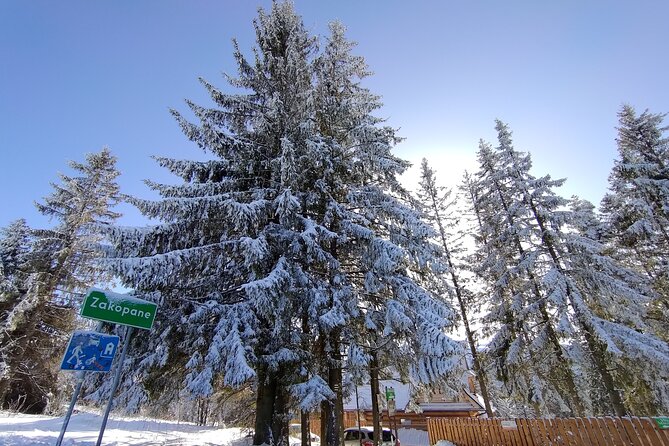 From Krakow: Zakopane & Chocholowskie Thermal Baths - A Smart One-Day Plan from Krakow: Mountains Plus Mineral Water