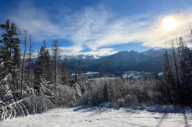 From Krakow: Zakopane Day Trip with Funicular & Food Tasting - Key things to look forward to