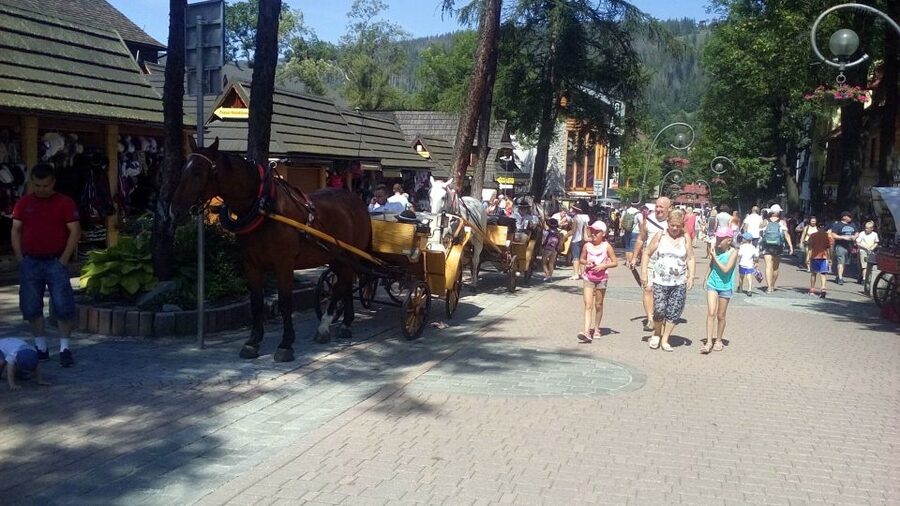 From Krakow: Zakopane & Hot Thermal Springs Private Tour - Zakopane free time: exactly 2 hours to eat, shop, and wander