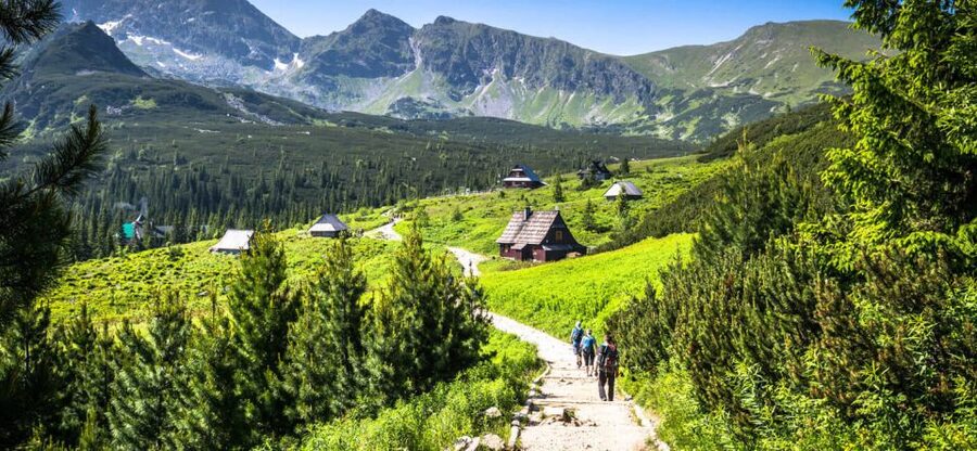 From Krakow: Zakopane & Hot Thermal Springs Private Tour - Price and value: is $241 per person a good deal?