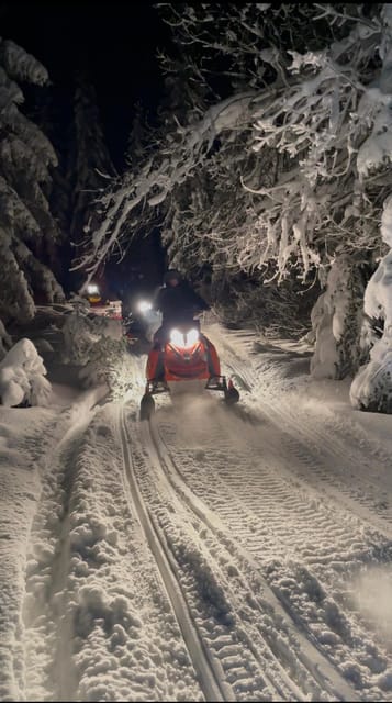From Krakow: Zakopane Snowmobile NIGHT Ride, Bonfire, - Getting ready for the snowmobile: safety briefing that actually helps