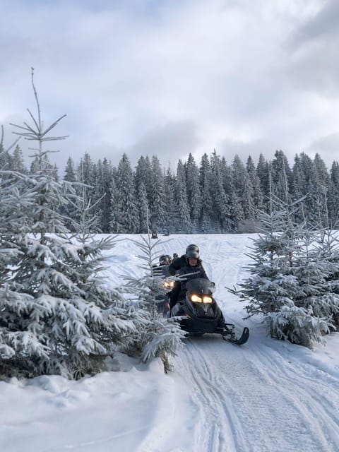 From Krakow: Zakopane Snowmobile NIGHT Ride, Bonfire, - Who should book this Zakopane night snowmobile ride