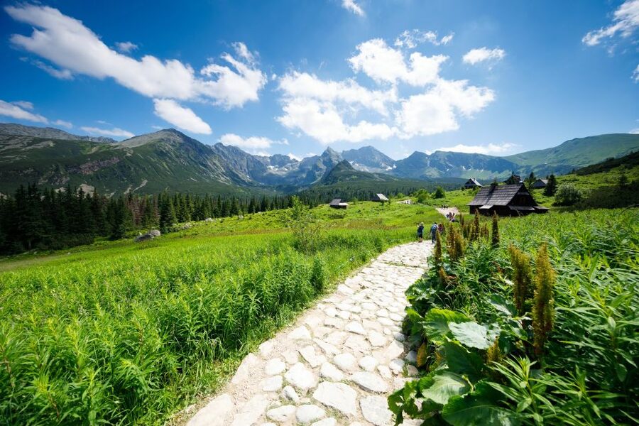 From Krakow: Zakopane Tatra Mountains & Hot Springs Tour - Who should book this tour, and who should skip it