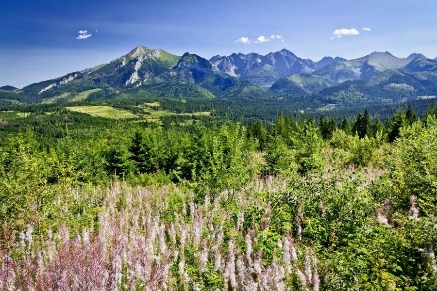 From Krakow: Zakopane Tatra Mountains & Hot Springs Tour - Chochołów: wooden cottages and the kind of history you can see
