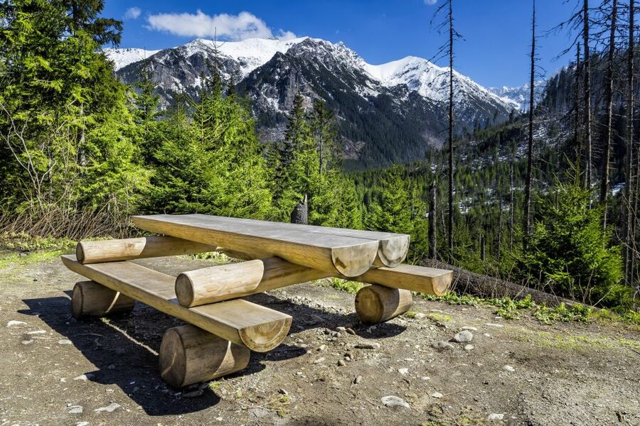 From Krakow: Zakopane Tatra Mountains & Hot Springs Tour - Krupówki street in Zakopane: where you shop, snack, and read the town