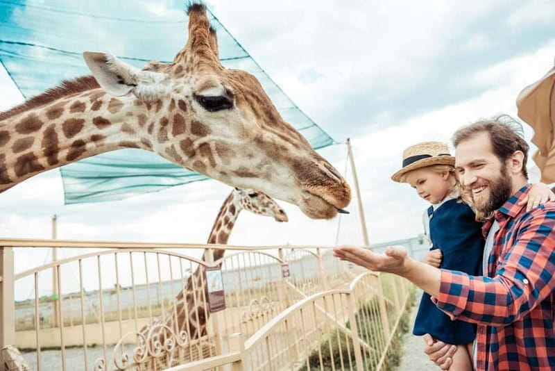 From Krakow: Zoo Trip with Private Luxury Transfer - What the private luxury transfer adds (and what it costs you)