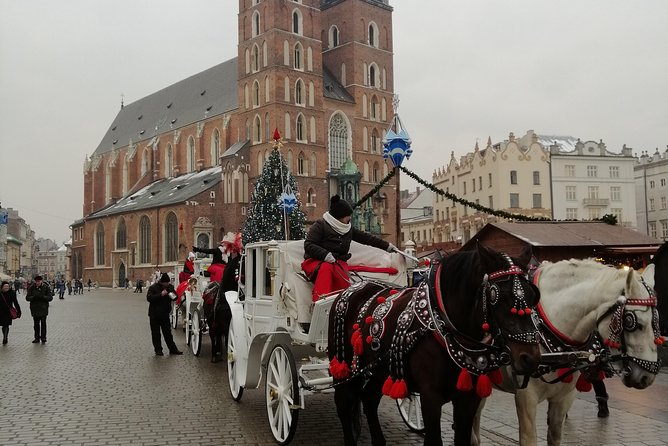 From Warsaw Auschwitz and Krakow one day tour by train with pick up and drop off - Premium express trains: when paying extra actually helps