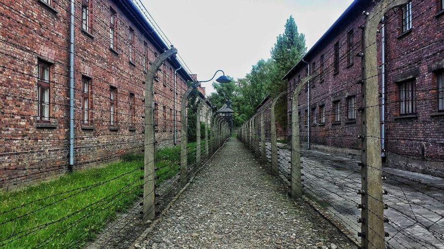 From Warsaw: Auschwitz-Birkenau Guided Tour with Fast Train - Getting Started in Warsaw: Pickup, Station Transfer, and the Train Plan