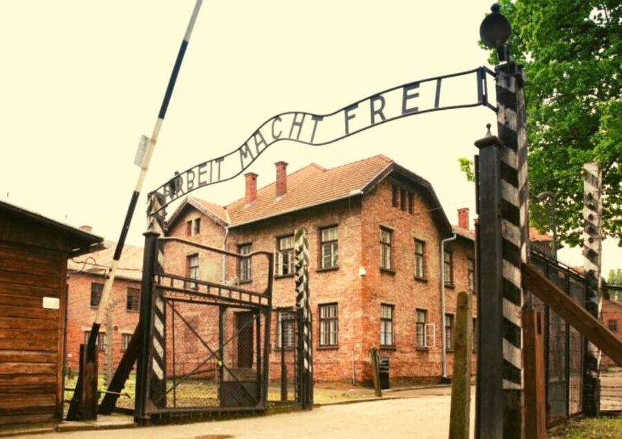 From Warsaw: Auschwitz-Birkenau Small Group Tour with Lunch - Key highlights you will actually notice