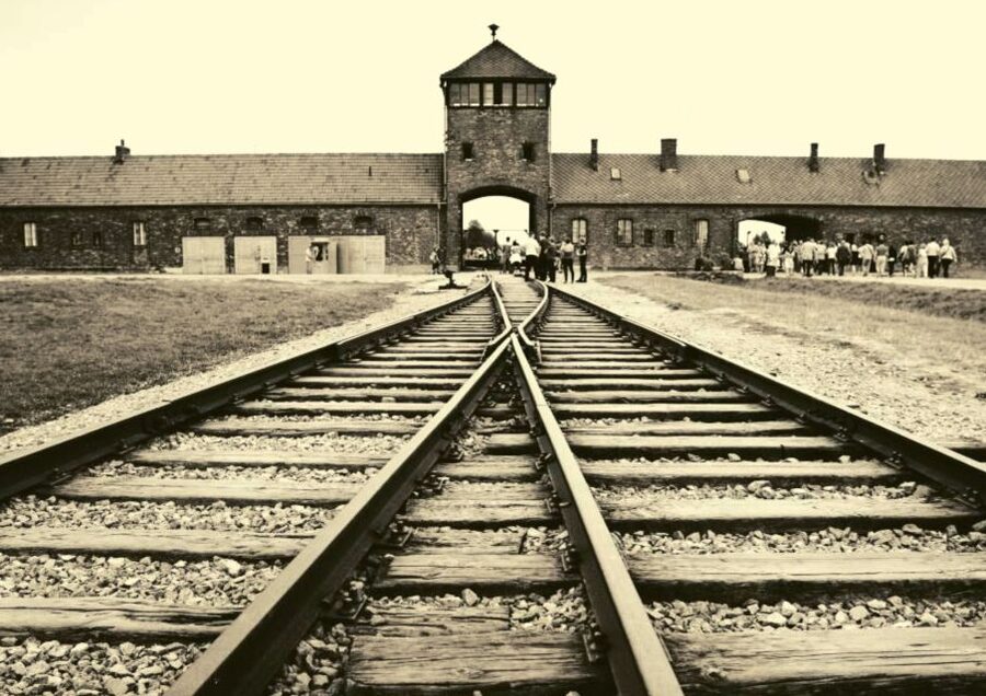 From Warsaw: Auschwitz-Birkenau Small Group Tour with Lunch - Who should book this Auschwitz-Birkenau day trip from Warsaw