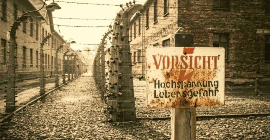 From Warsaw: Auschwitz-Birkenau Small Group Tour with Lunch - From Warsaw to Oświęcim: the long ride that sets your whole day