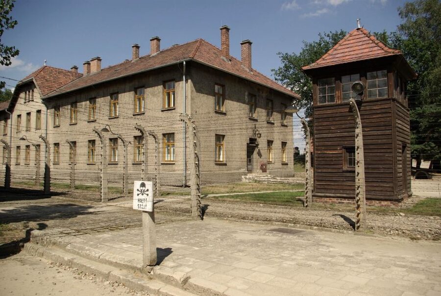 From Warsaw: Auschwitz-Birkenau Small Group Tour with Lunch - Museum artifacts and personal evidence: what to look for beyond the big structures