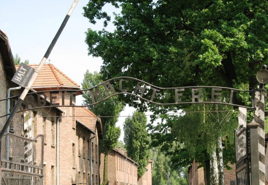 From Warsaw: Auschwitz-Birkenau Small Group Tour with Lunch - Price and value: is $350 fair for what you get?