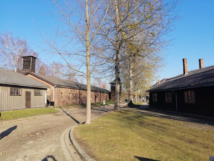 From Warsaw: Auschwitz-Birkenau Tour by Car - Who should book this Auschwitz-Birkenau tour by car from Warsaw