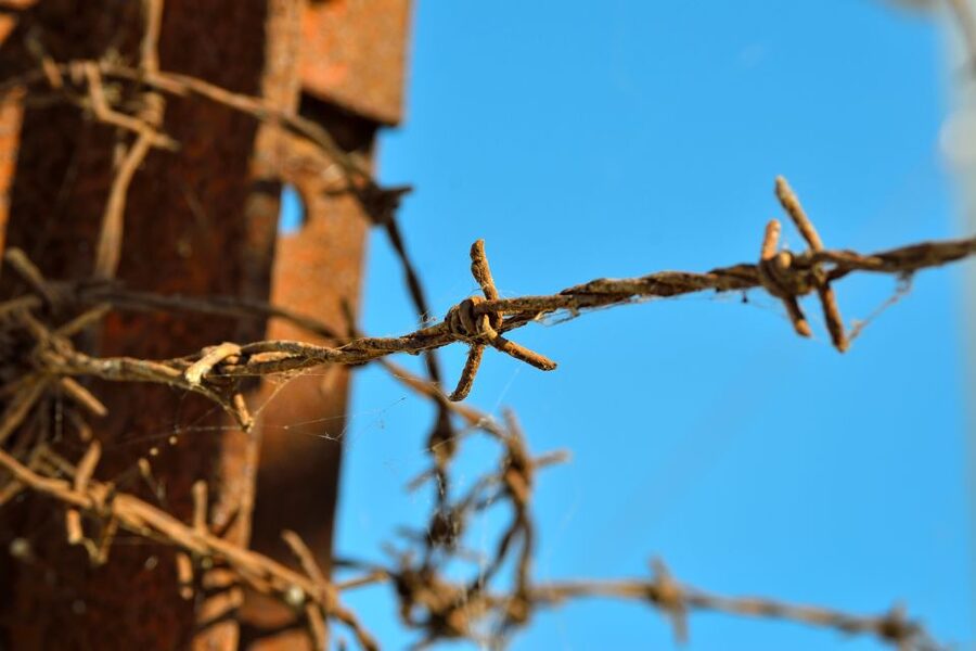 From Warsaw: Auschwitz-Birkenau Tour by Car - How long the day lasts, and how to plan your energy
