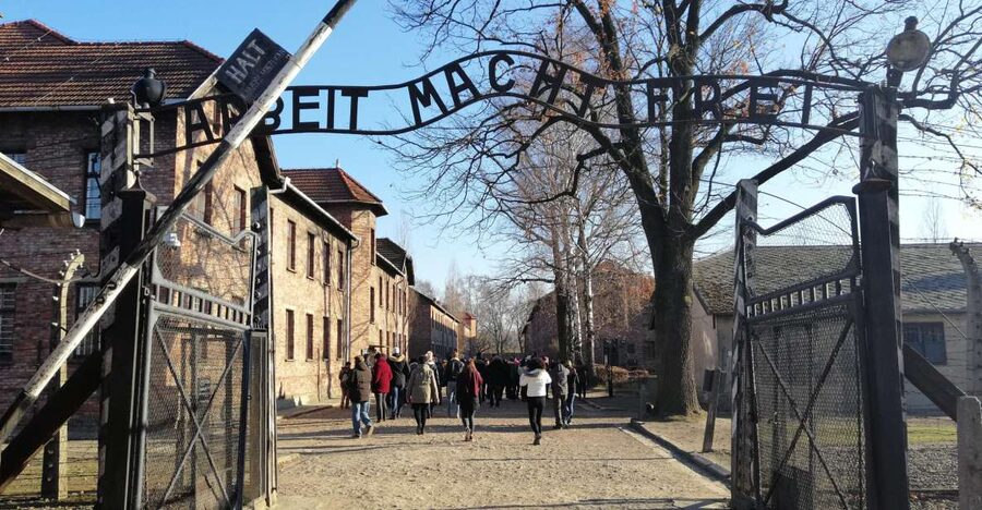 From Warsaw: Auschwitz-Birkenau Tour by Car - Price and value: $265 is not cheap, but it covers the hard parts
