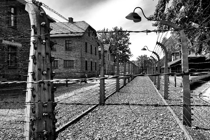 From Warsaw: Auschwitz-Birkenau Tour with Premium Train Transportation - Auschwitz II-Birkenau: why the walk is the hardest part