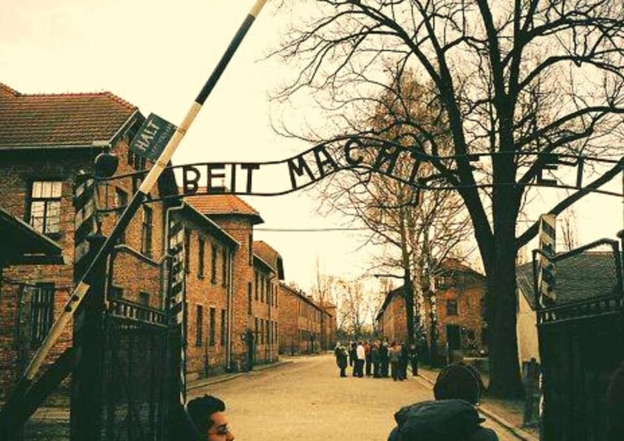 From Warsaw: Auschwitz Day Tour by Private Car with Lunch - Should You Book This Auschwitz and Birkenau Day Tour From Warsaw?