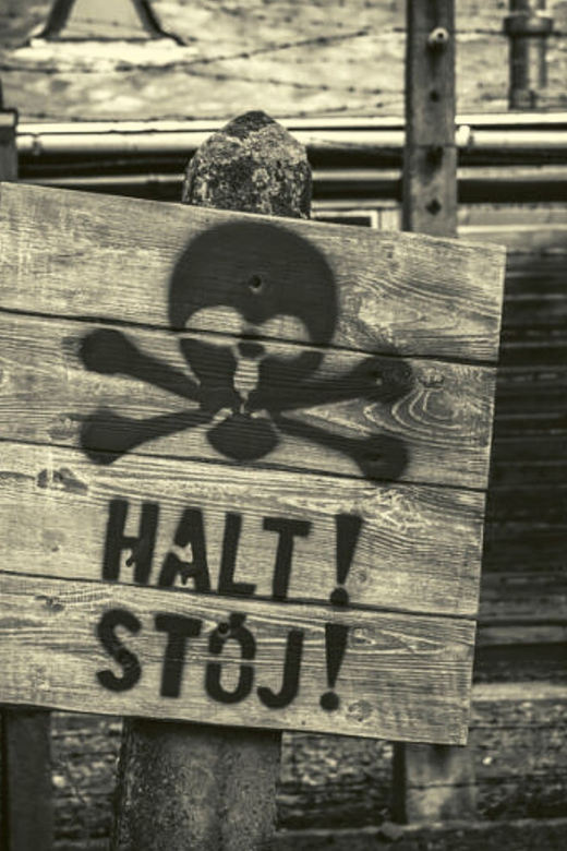 From Warsaw: Auschwitz Day Tour by Private Car with Lunch - Timing, Pickup Point, and How the Day Actually Flows