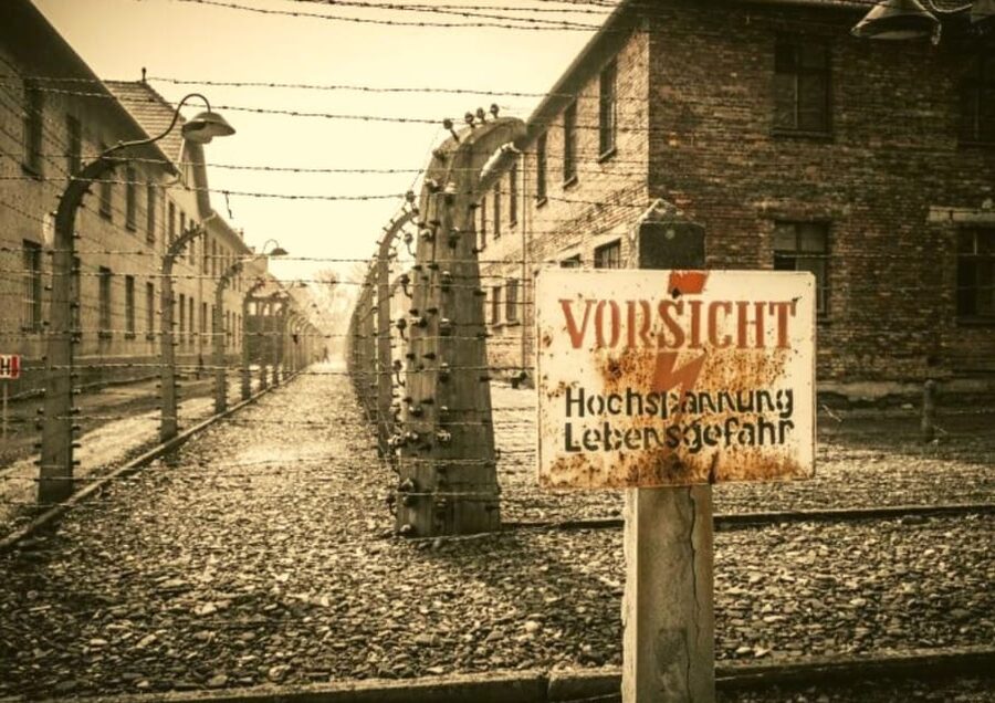 From Warsaw: Auschwitz Day Tour by Private Car with Lunch - Auschwitz-Birkenau in 4.5 Hours: What That Guided Block Means