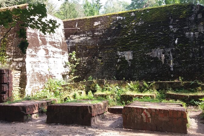 From Warsaw day tour to Wolf's Lair, Hitler's HQ by car - Key takeaways before you book