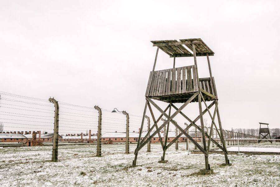 From Warsaw: Guided Tour to Auschwitz-Birkenau and Krakow - Krakow Free Time After the Memorial: How to Use Those 2 Hours Well