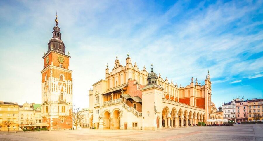 From Warsaw: Guided Tour to Auschwitz-Birkenau and Krakow - Transportation Comfort, Delays, and What to Expect if Things Run Late