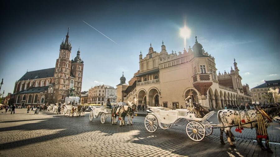 From Warsaw: Krakow Sightseeing Tour by Express Train - Who this trip suits best, and who should consider a different plan