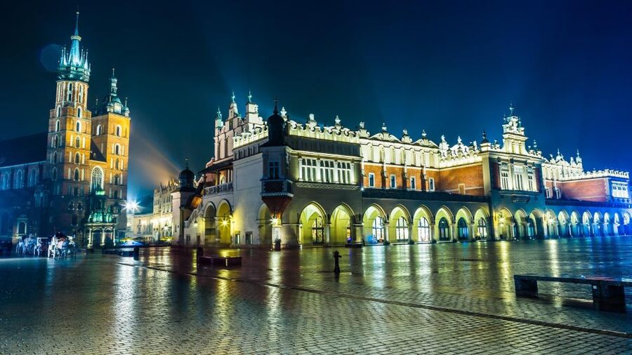 From Warsaw: Krakow Sightseeing Tour by Express Train - Wawel Castle and the Royal Cathedral, including Sigismund Chapel