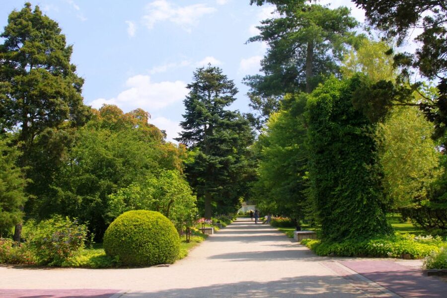 From Warsaw: Tour to Chopin's Birthplace - Żelazowa Wola - Who this tour suits best (and who might skip it)