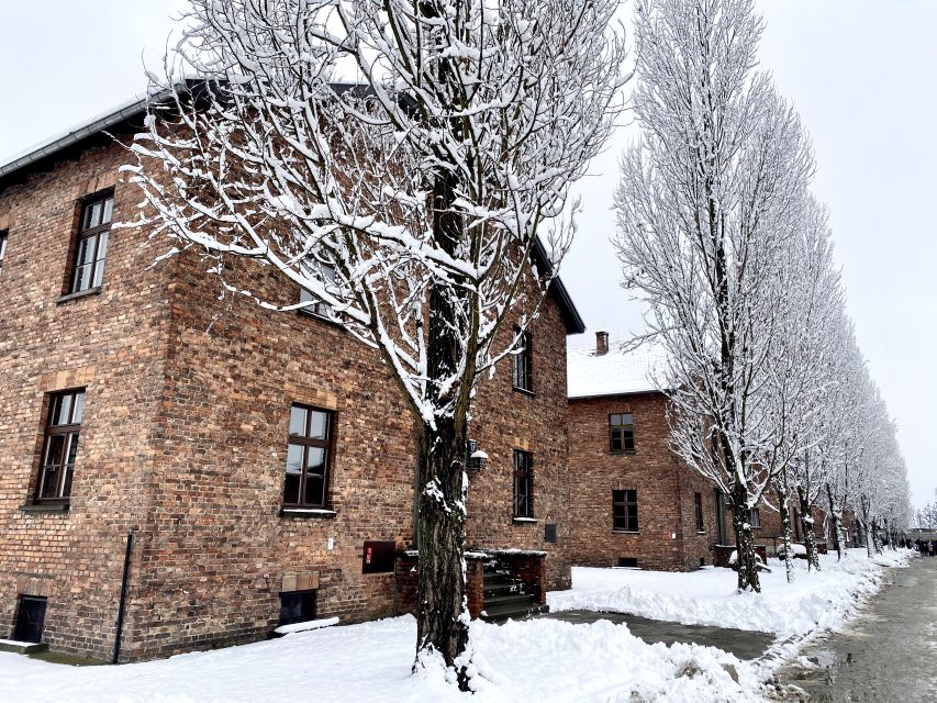 From Wrocław: Full-Day Auschwitz-Birkenau Guided Tour - Key Things That Make This Tour Worth Considering