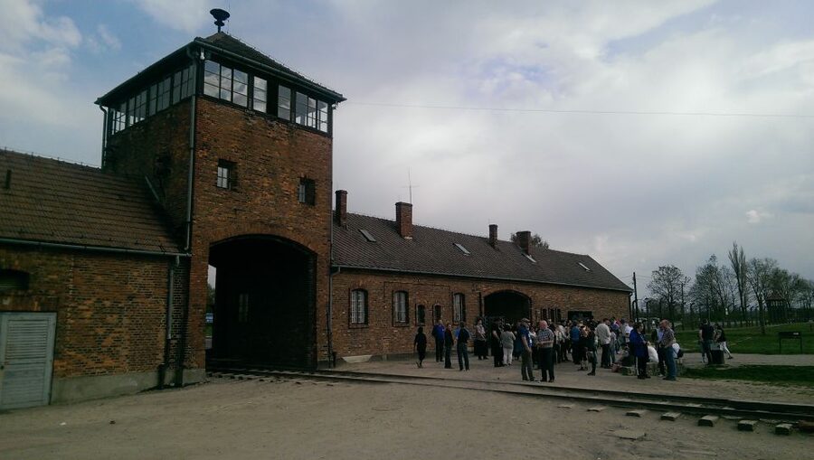 From Wrocław: Full-Day Auschwitz-Birkenau Guided Tour - What the 10-Hour Day Actually Feels Like
