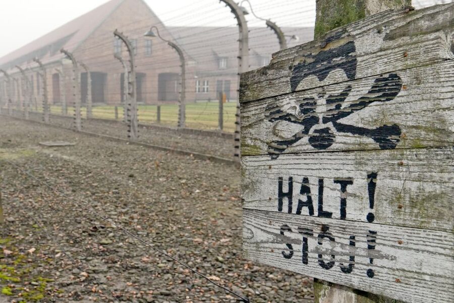 From Wrocław: Full-Day Auschwitz-Birkenau Guided Tour - Birkenau: Where the Scale Becomes Impossible to Forget