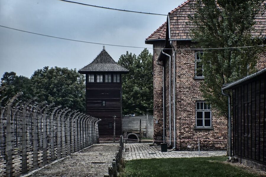 From Wrocław: Full-Day Auschwitz-Birkenau Guided Tour - Timing and Breaks: How the Tour Protects Your Focus