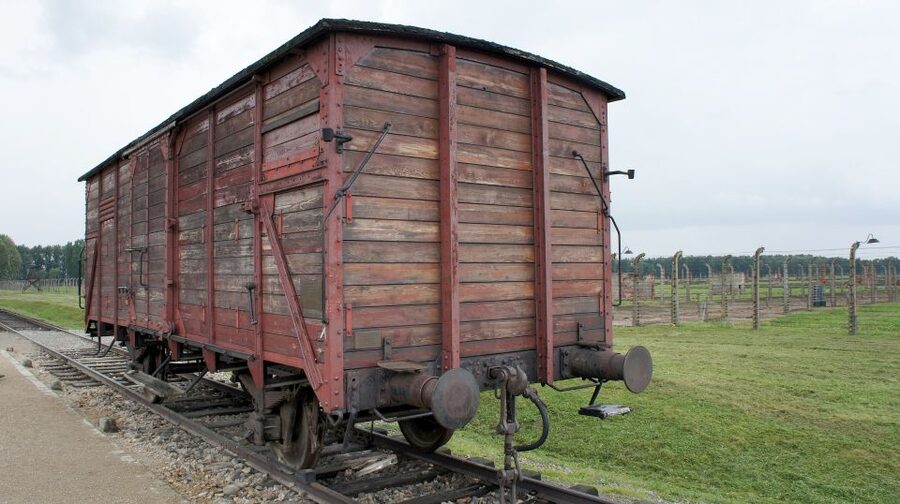 From Wrocław: Full-Day Auschwitz-Birkenau Guided Tour - The Strict Entry Rules You Must Plan Around