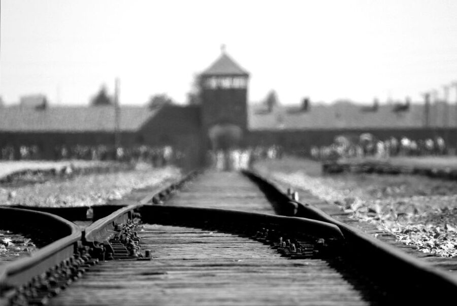 From Wrocław: Full-Day Auschwitz-Birkenau Guided Tour - The Real Value: Hotel Pickup, Skip-the-Line Entry, and a Live English Guide