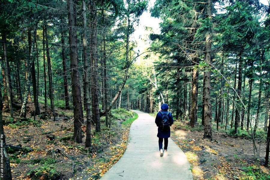 From Wroclaw: Full-Day Stolowe Mountains Trekking Tour - Should you book the Full-Day Stolowe Mountains Trekking Tour?
