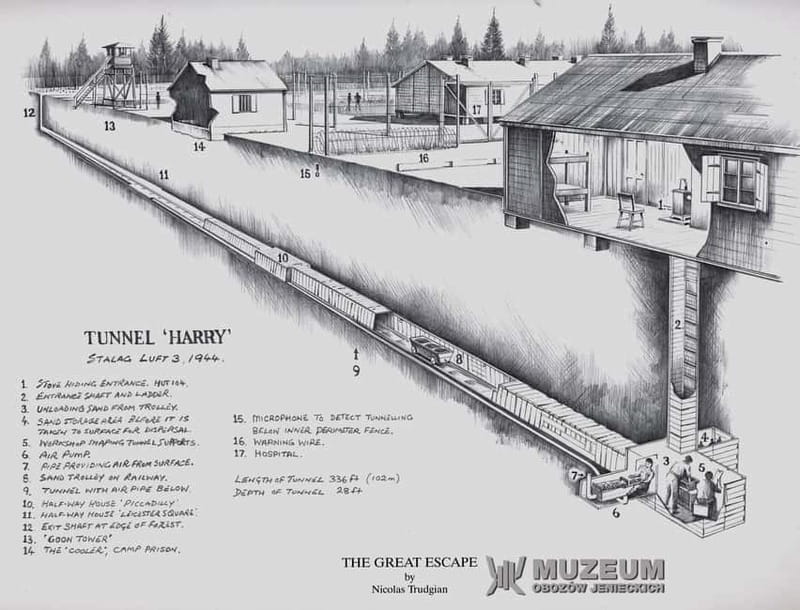 From Wrocław: Stalag Luft 3 Great Escape Tour - Wandering the camp grounds and spotting the footprint in the woods