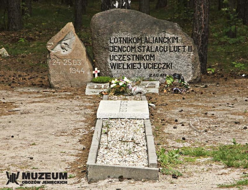 From Wrocław: Stalag Luft 3 Great Escape Tour - Price and logistics: does $214 feel fair for an 8-hour guided day?