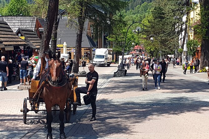 Full-Day Dunajec Rafting and Zakopane Tour from Krakow - Transport and Timing: Pickup at 8:00 and the 11-Hour Reality