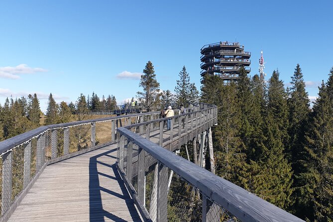 Full-Day Private Tour of Slovakia Treetop Walk and Zakopane - Bachledka Ski & Sun Treetop Walk, Cable Car vs Walking, and What to Expect
