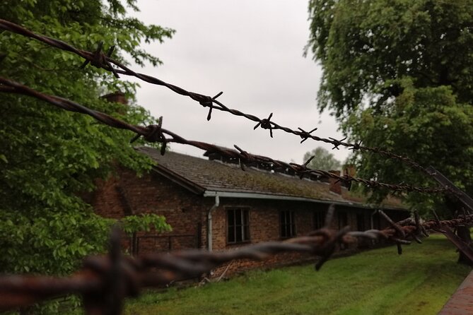 Full-Day Tour From Warsaw to Auschwitz (guided) and Krakow by car - Auschwitz and Birkenau in English: what 3.5 hours actually gives you