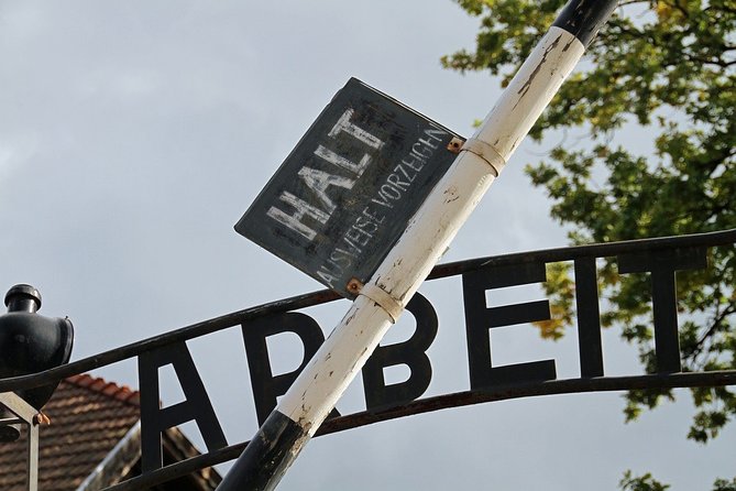 Full-Day Tour of Auschwitz-Birkenau and Salt Mine from Krakow - The Big Picture: How This Day Gets You From Wonder to History