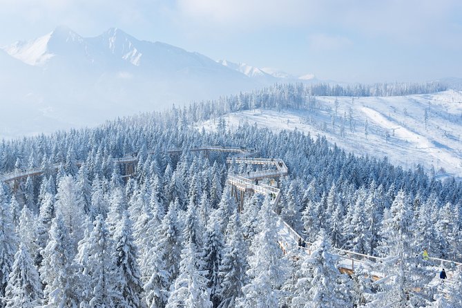 Full-Day Tour of Zakopane and Sky Walk Heart of Poronin - Sky Walk Heart of Poronin: a treetop path you’ll actually enjoy walking